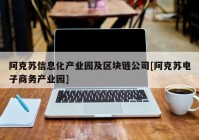 阿克苏信息化产业园及区块链公司[阿克苏电子商务产业园]